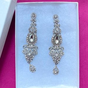 Sparkly costume earrings